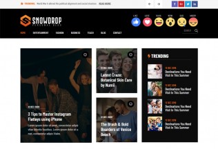 SnowDrop – Premium Responsive Personal Blog HTML5 Template