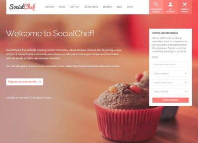 10+ Best WordPress Social Network Theme 2021