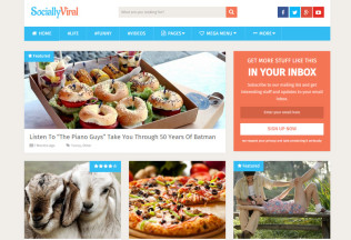 SociallyViral – Premium Responsive WordPress Theme to Boost Social Shares