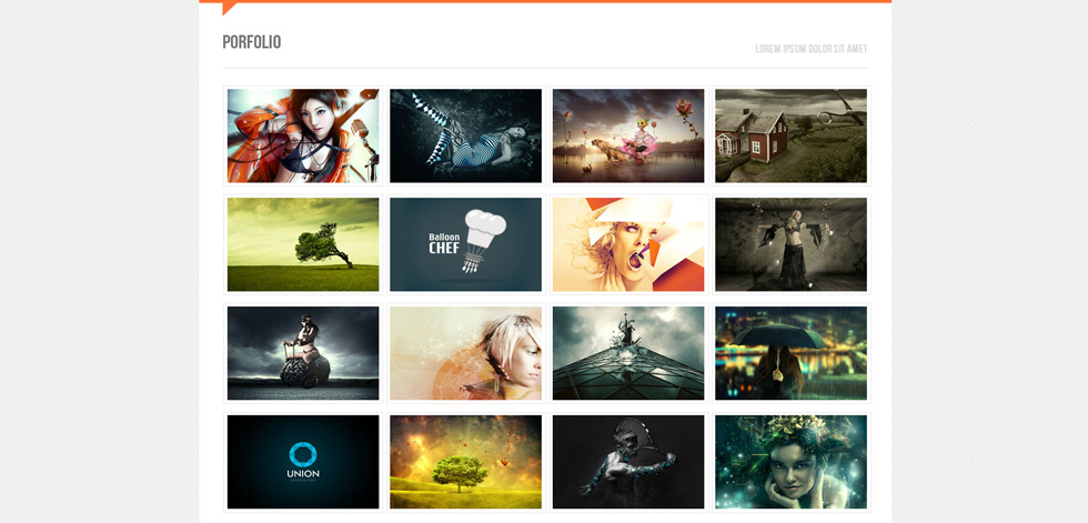 Portfolio