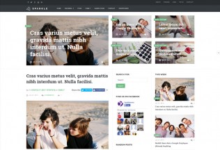 Sparkle – Premium Responsive News/Magazine Drupal Theme