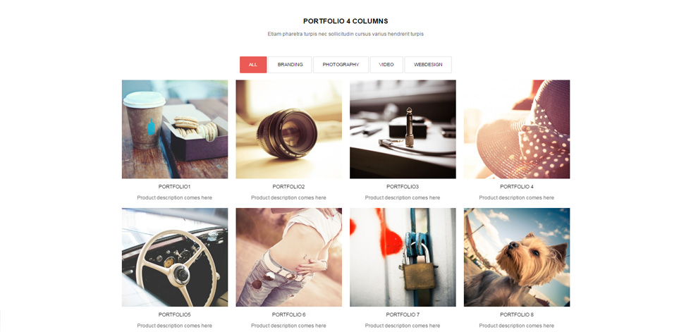 Portfolio