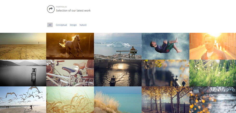 Portfolio