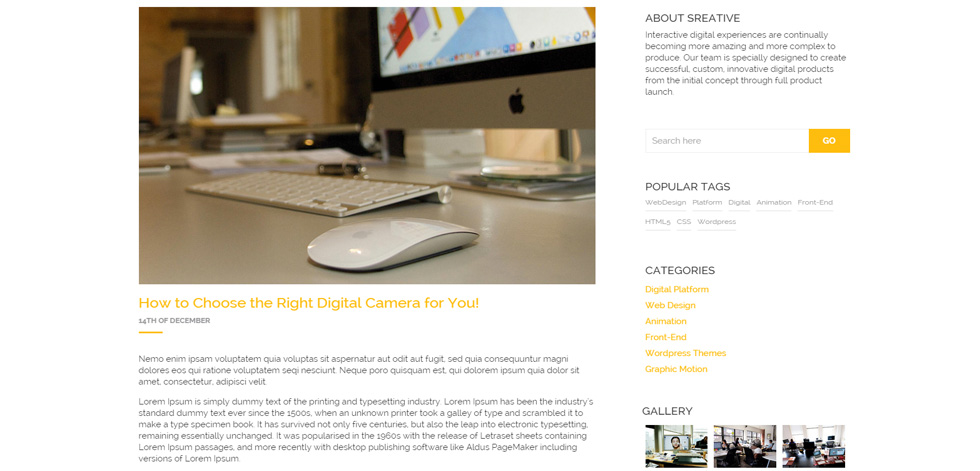 Blog post page