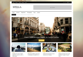 STELLA – Premium Responsive Clean Blog News Magazine WordPress Theme