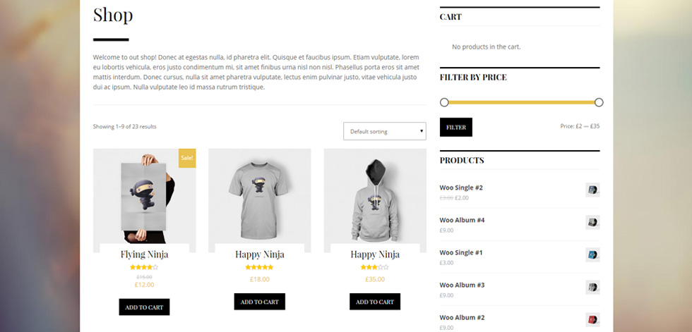 Shop page