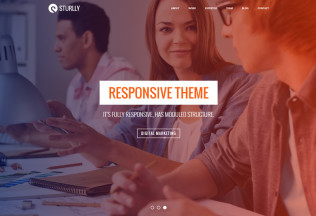 Sturlly – Premium Responsive One Page MultiPurpose HTML5 Template