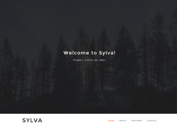 Sylva – Premium Responsive Minimal Ghost Theme
