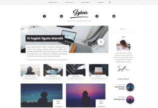 Sylver – Premium Responsive Blog WordPress Theme