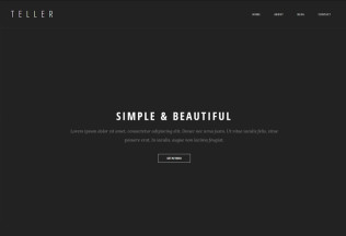 Teller – Premium Responsive Minimal Portfolio/Blog WordPress Theme
