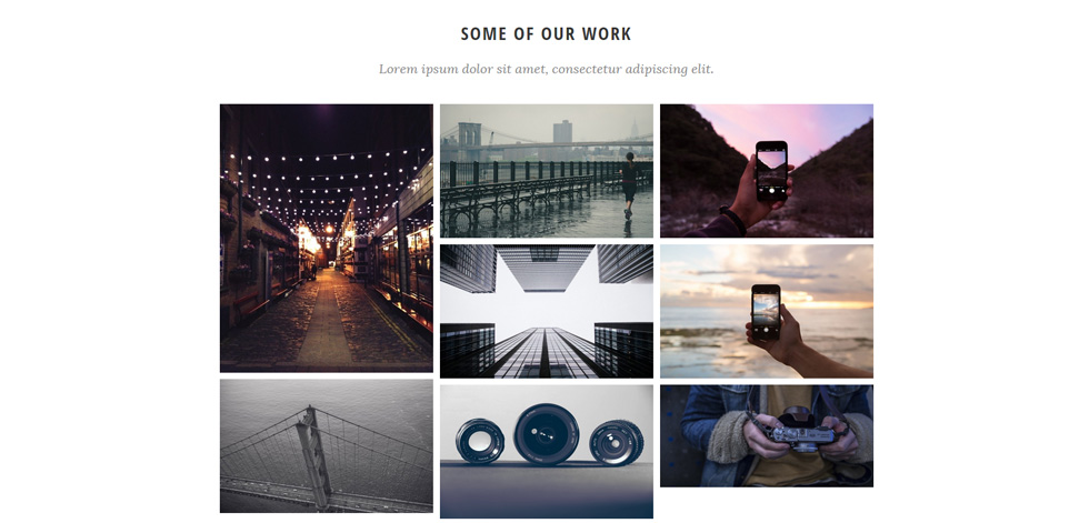 Portfolio