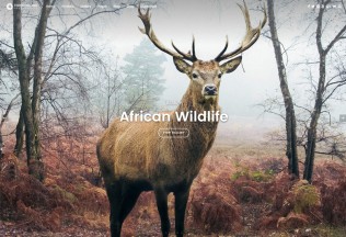 Terschelling – Premium Resposnive Modern Photography WordPress Theme