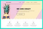 The Crazy – Premium Responsive Creative Agency WordPress Theme