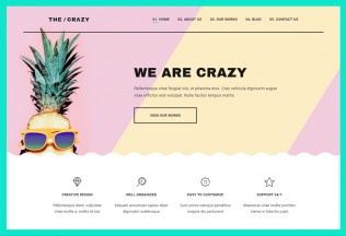 The Crazy – Premium Responsive Creative Agency WordPress Theme