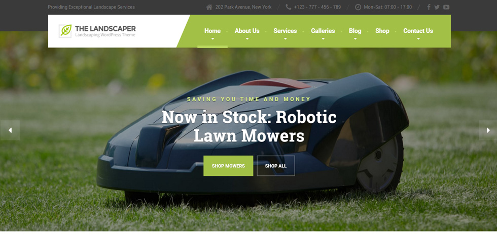 Home page