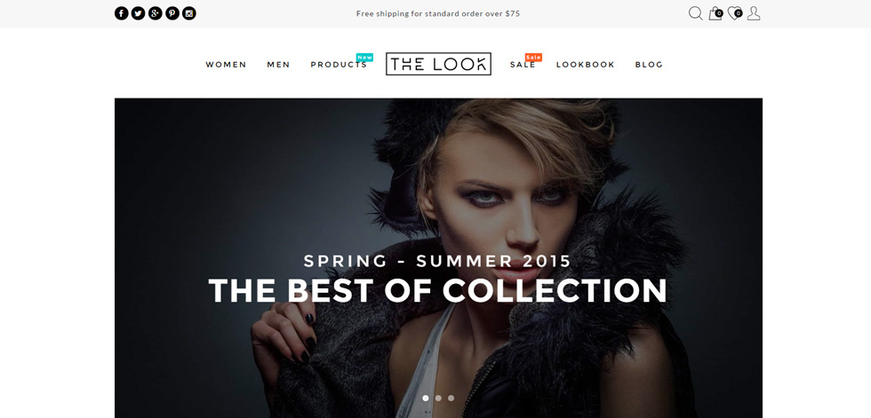 Home page