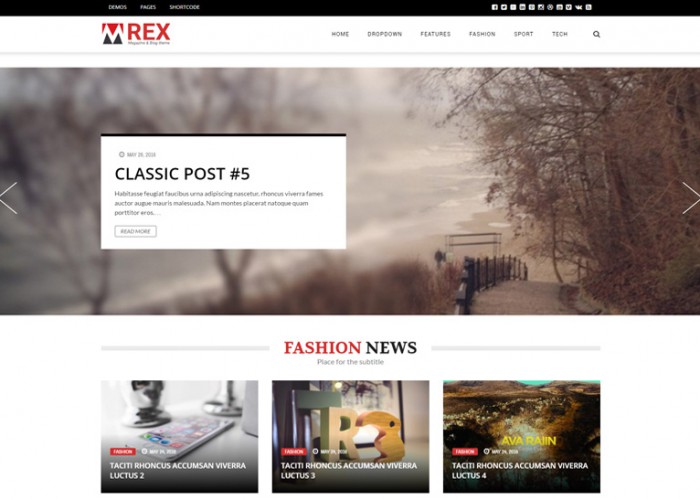 The REX – Premium Responsive Magazine and Blog Drupal 8 Theme