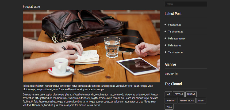Blog post page