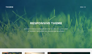 Optimised for Desktop