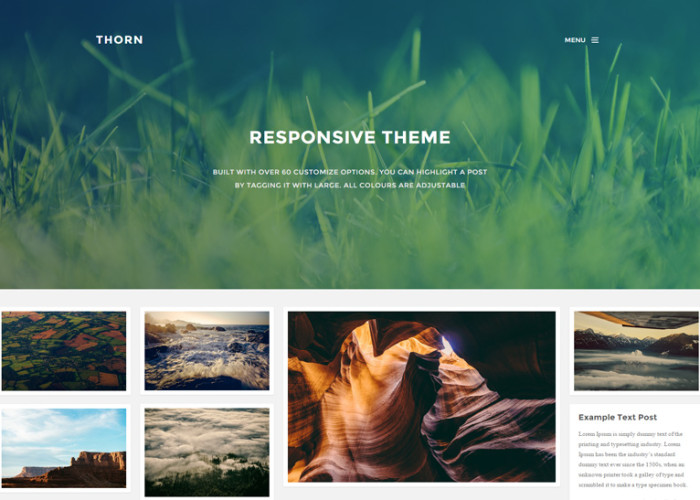 Thorn – Premium Responsive Grid Tumblr Theme