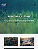 Optimised for Tablet
