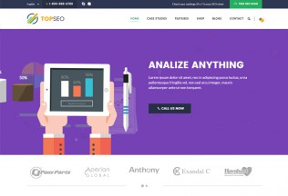 TopSEO – Premium Responsive SEO, Digital Marketing WordPress Theme