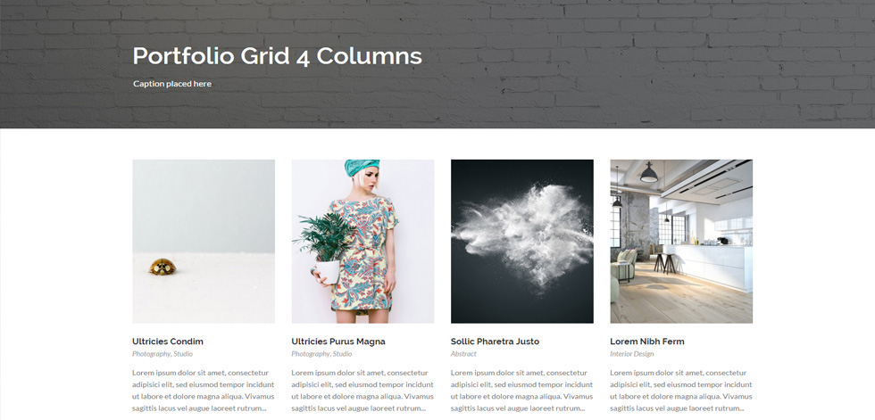 Portfolio