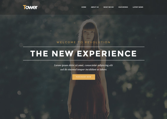 Tower – Premium Responsive Business-Driven Multipurpose WordPress Theme