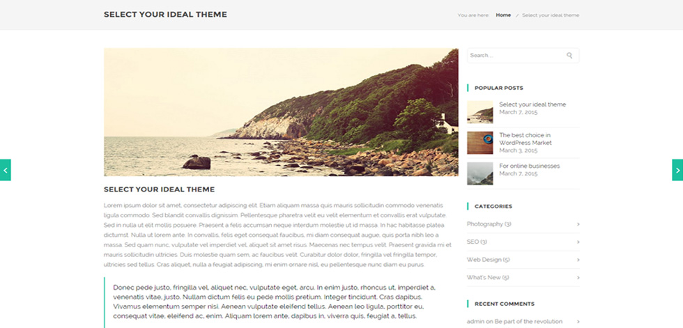 Blog post page