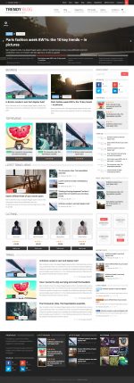 5+ Best Responsive Wordpress Review Themes 2015