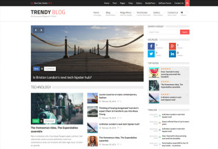 TrendyBlog – Premium Responsive Magazine WordPress Theme