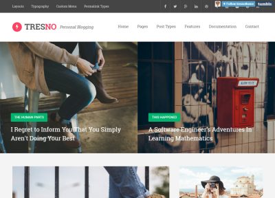 10+ Best Premium Responsive Tumblr Themes in 2015