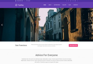TripWay – Premium Responsive Travel Agency WordPress Theme