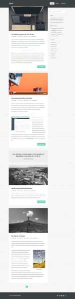 5+ Best Responsive Wordpress Writers Themes 2014