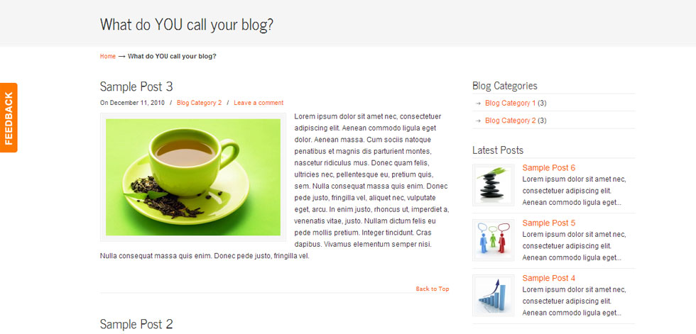 Blog post page