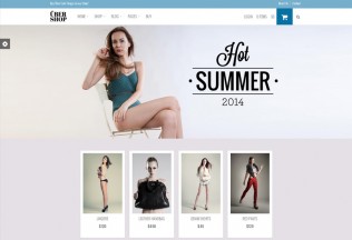 UberShop – Premium Responsive Flat WordPress Theme