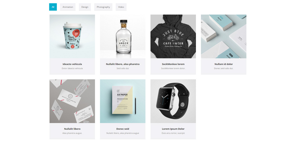 Portfolio