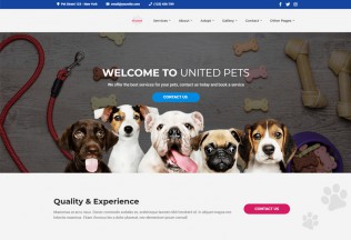 United Pets – Premium Responsive Veterinary WordPress Theme