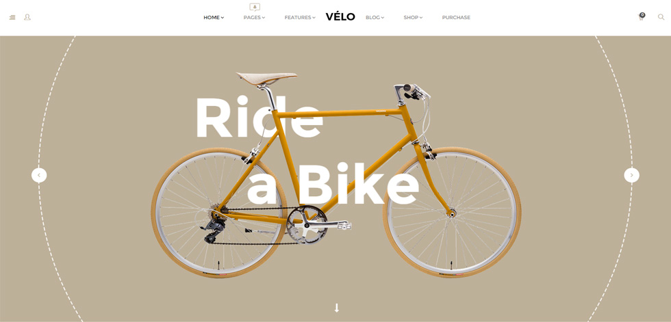 Home page