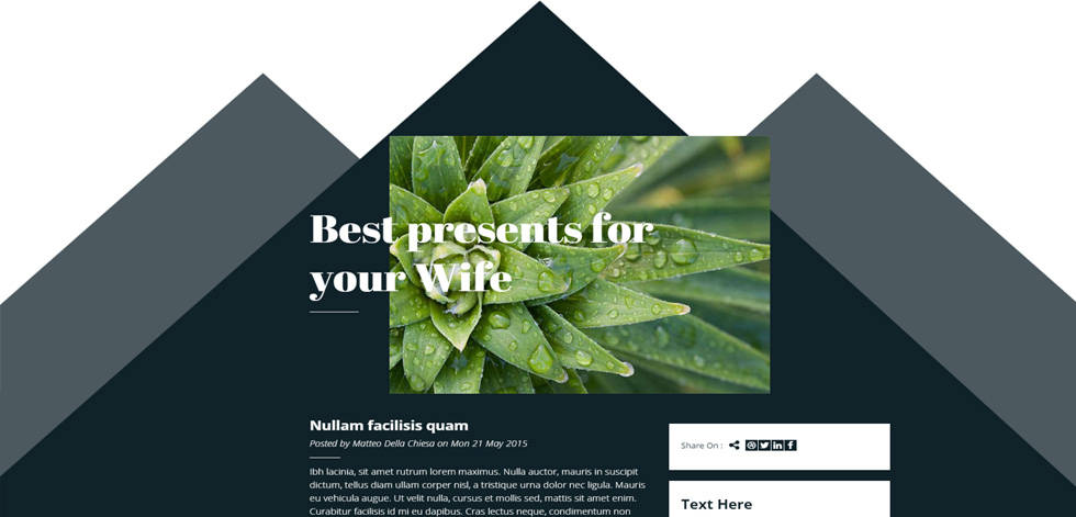 Blog post page