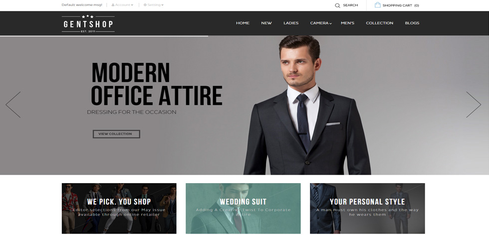 Home page