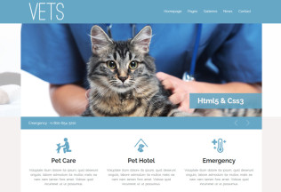 VETS – Premium Responsive Veterinary Medical Health Clinic HTML5 Template