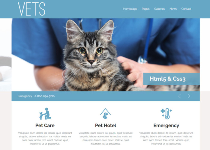 VETS – Premium Responsive Veterinary Medical Health Clinic HTML5 Template