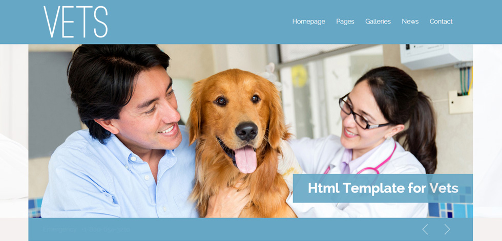 Home page