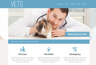 VETS – Premium Responsive Veterinary Medical Health Clinic WordPress Theme
