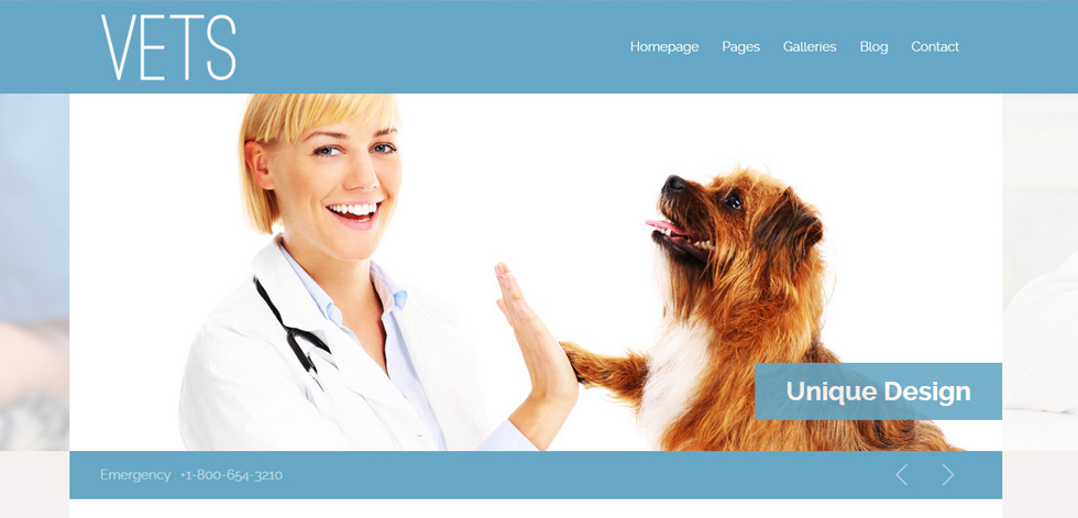 Home page
