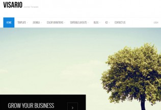 Visario – Joomla 3 Premium Responsive Theme