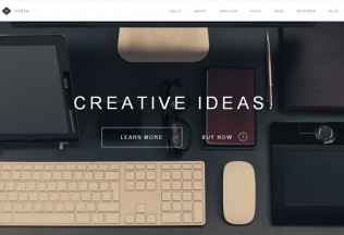 Visia – Premium Responsive Parallax One Page Portfolio Drupal Theme