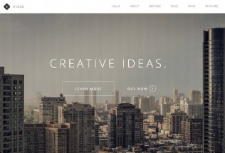 Visia – Premium Responsive One Page Retina Parallax WordPress Theme