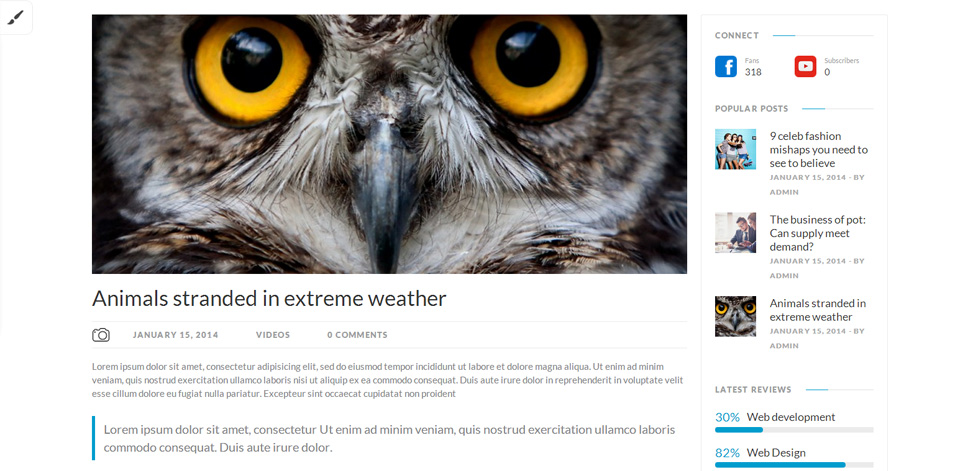 Blog post page